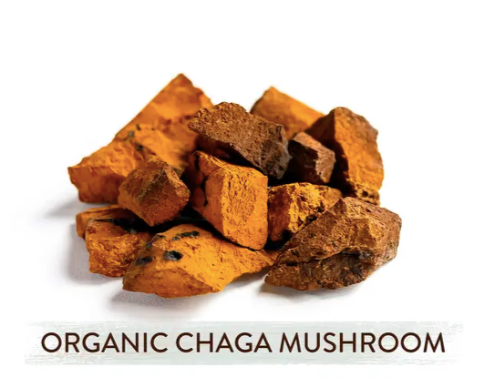 Organic Chaga Mushroom